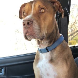 Meet your Posher, Kristi